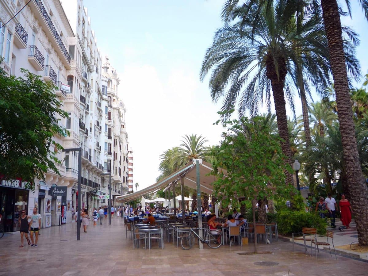 Edificios de viviendas y terrazas junto a las palmeras del paseo de la Explanada, en Alicante